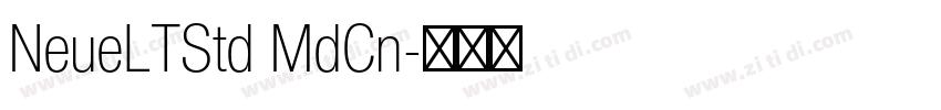 NeueLTStd MdCn字体转换